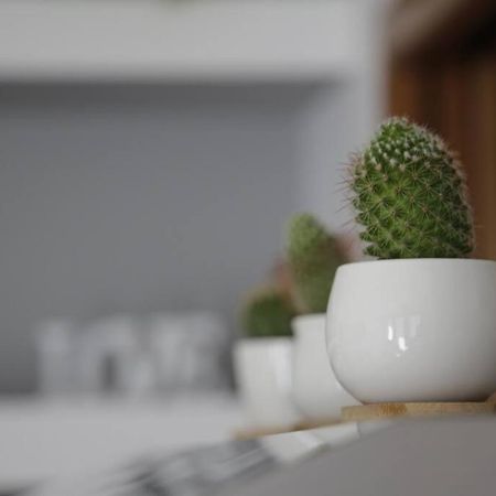 Iseo Lake Family&Friends Smart Home Eksteriør billede